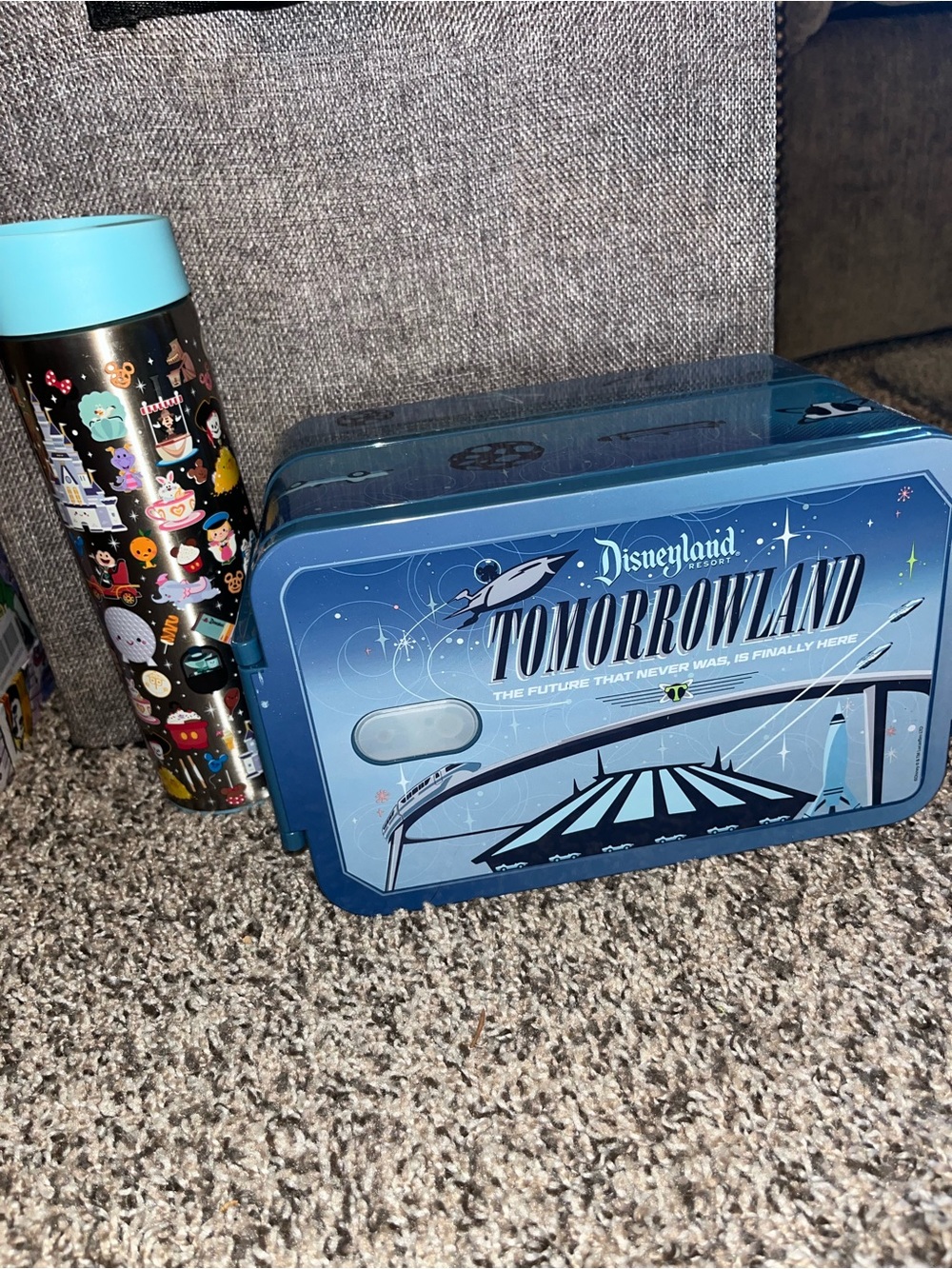 Disney Parks Lunch Bundle